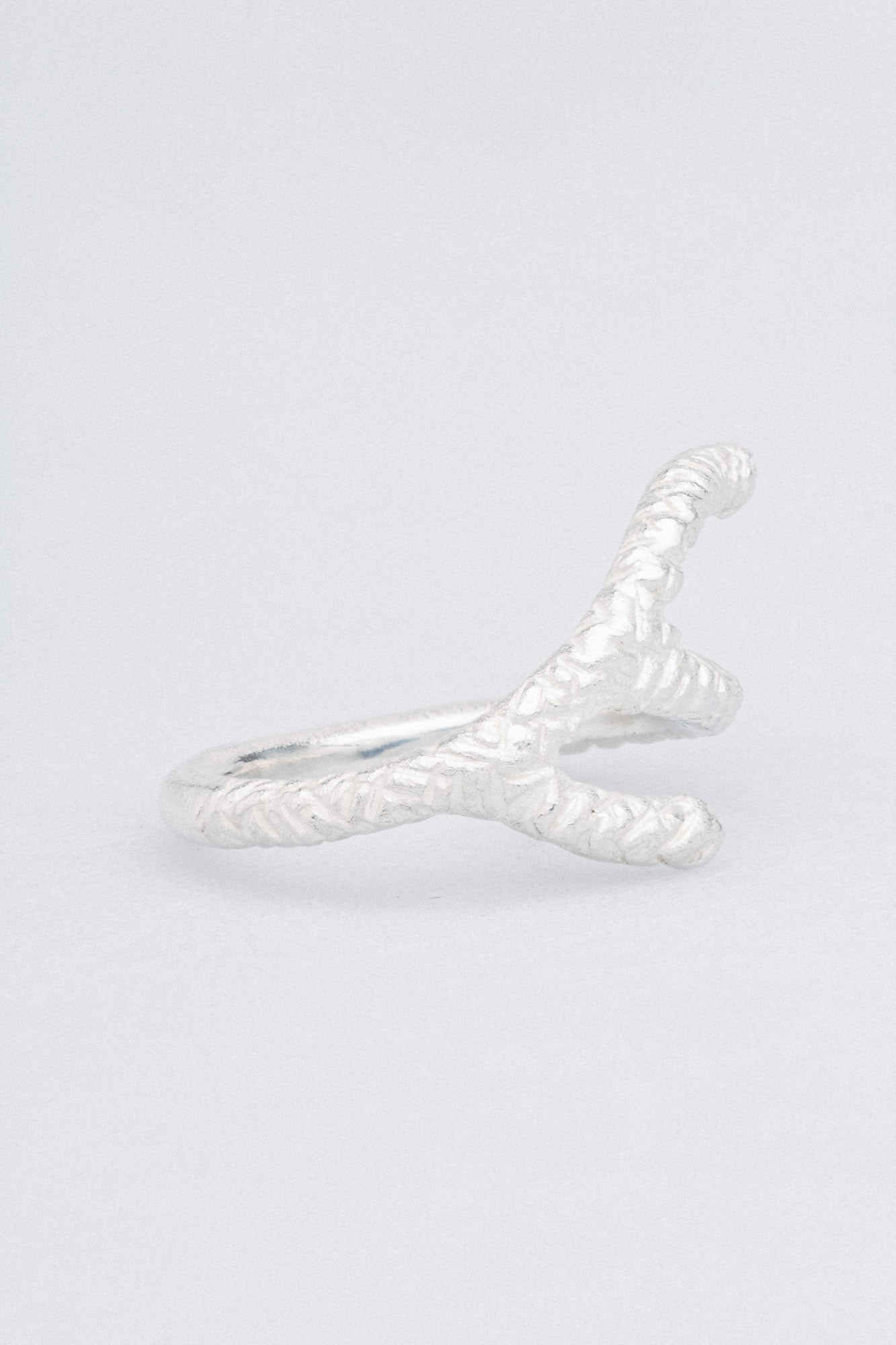 silver ring / FOREST Light