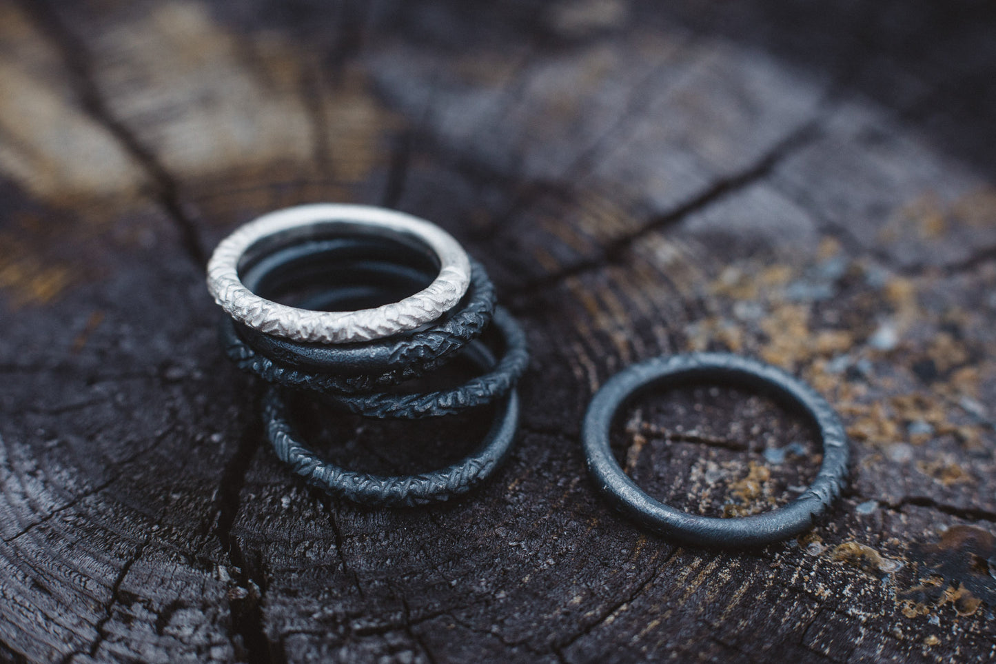 silver band ring / FOREST Light