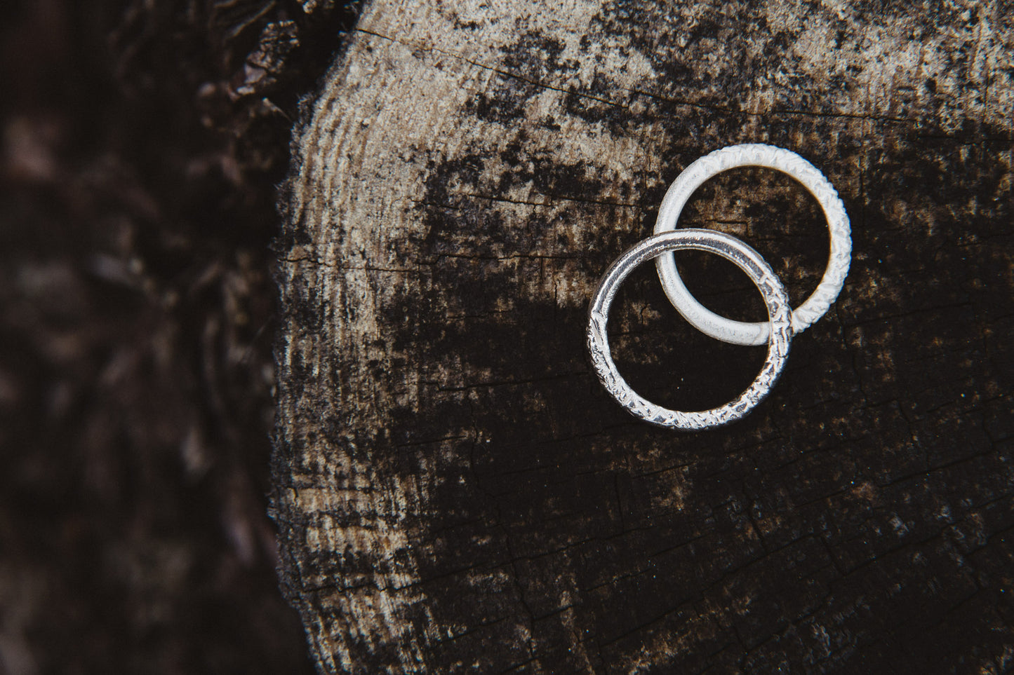 silver band ring / FOREST Light