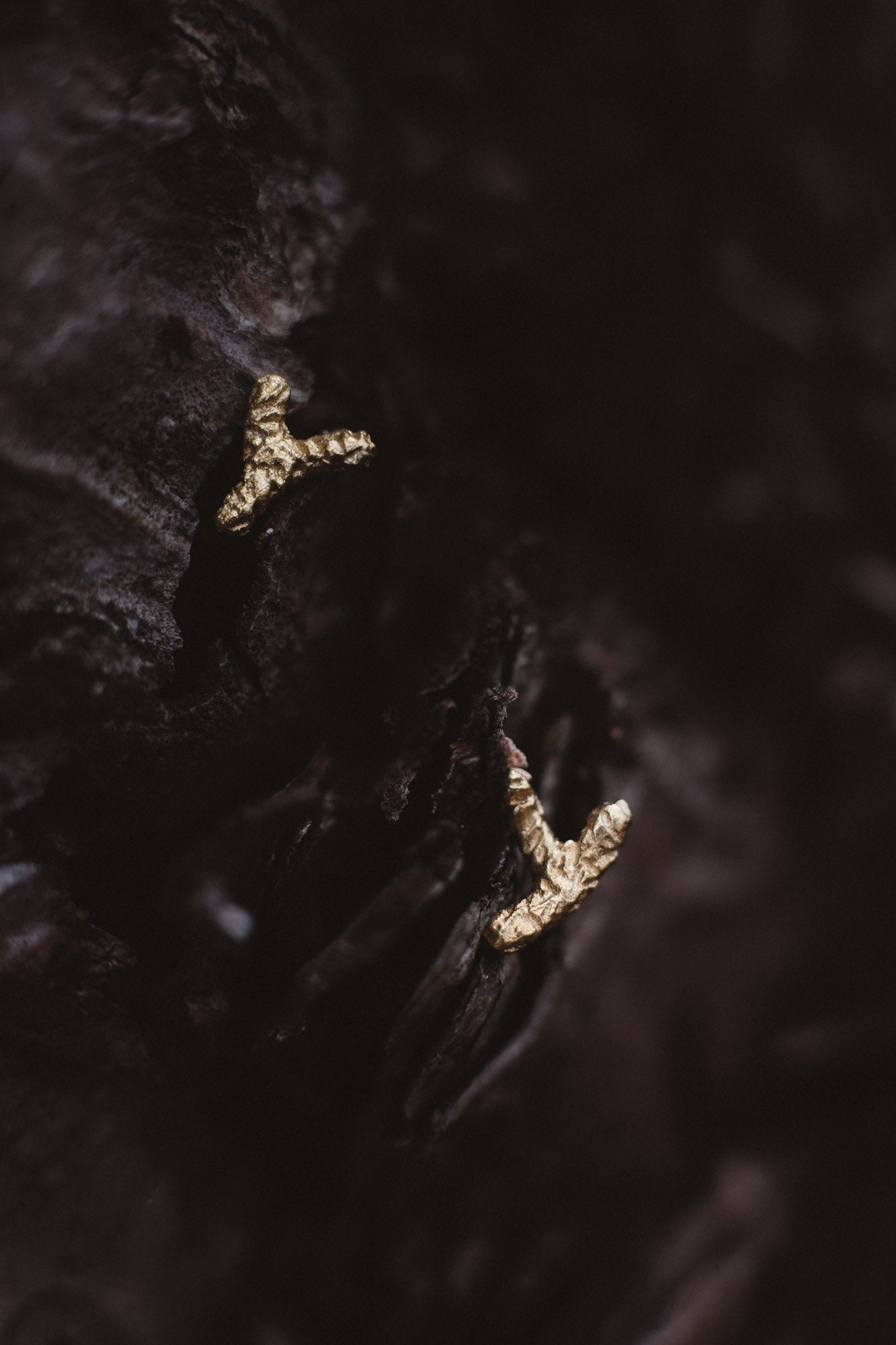 gold plated silver studs / FOREST LIGHT