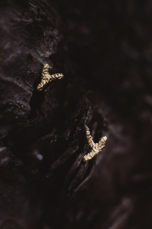 gold plated silver studs / FOREST LIGHT
