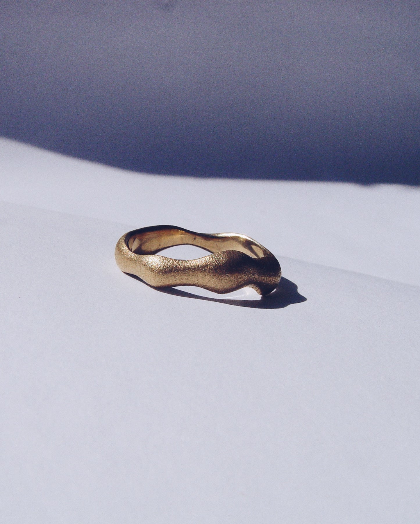 silver ring / SILENT WAVE