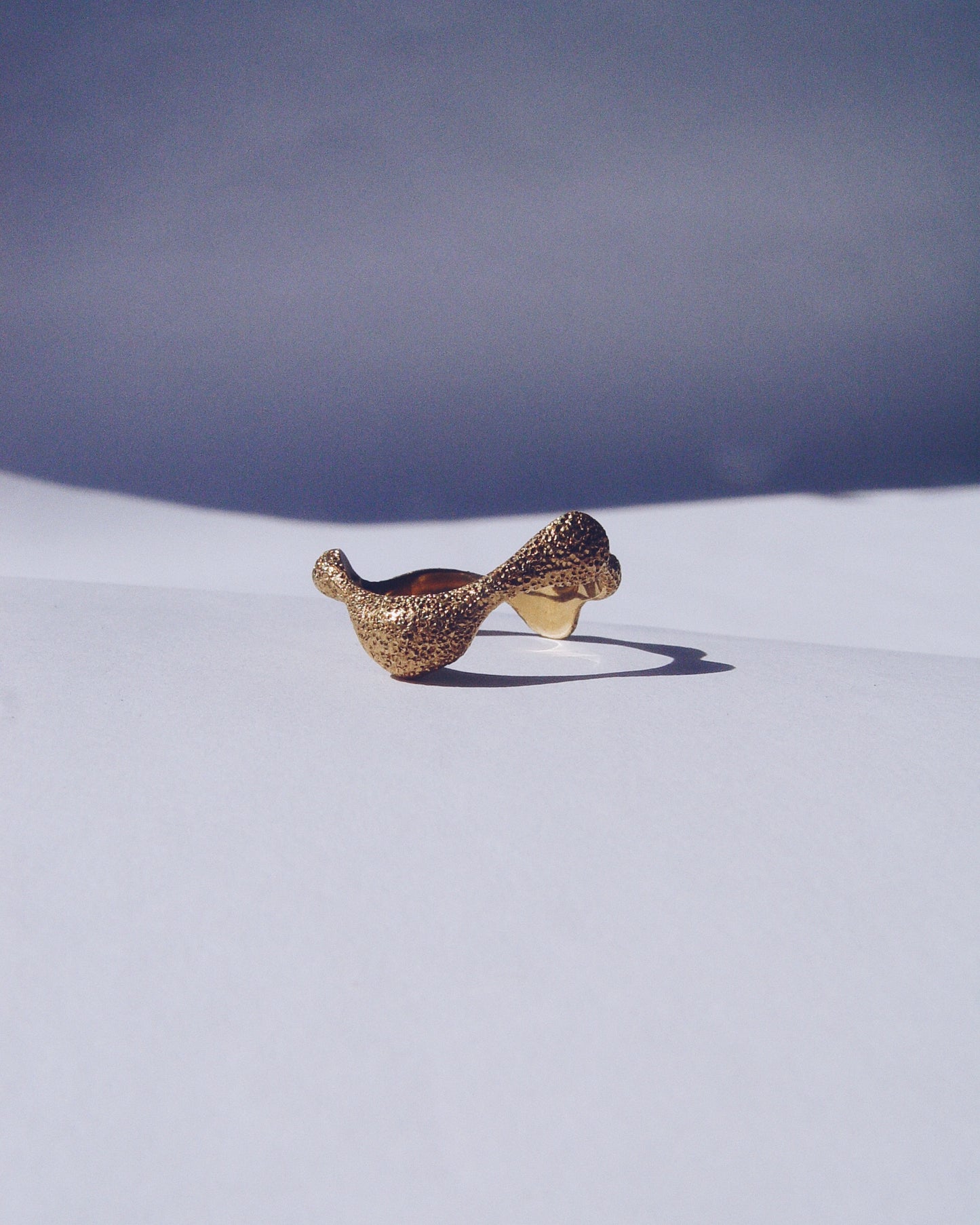 silver ring / STORMY WAVE