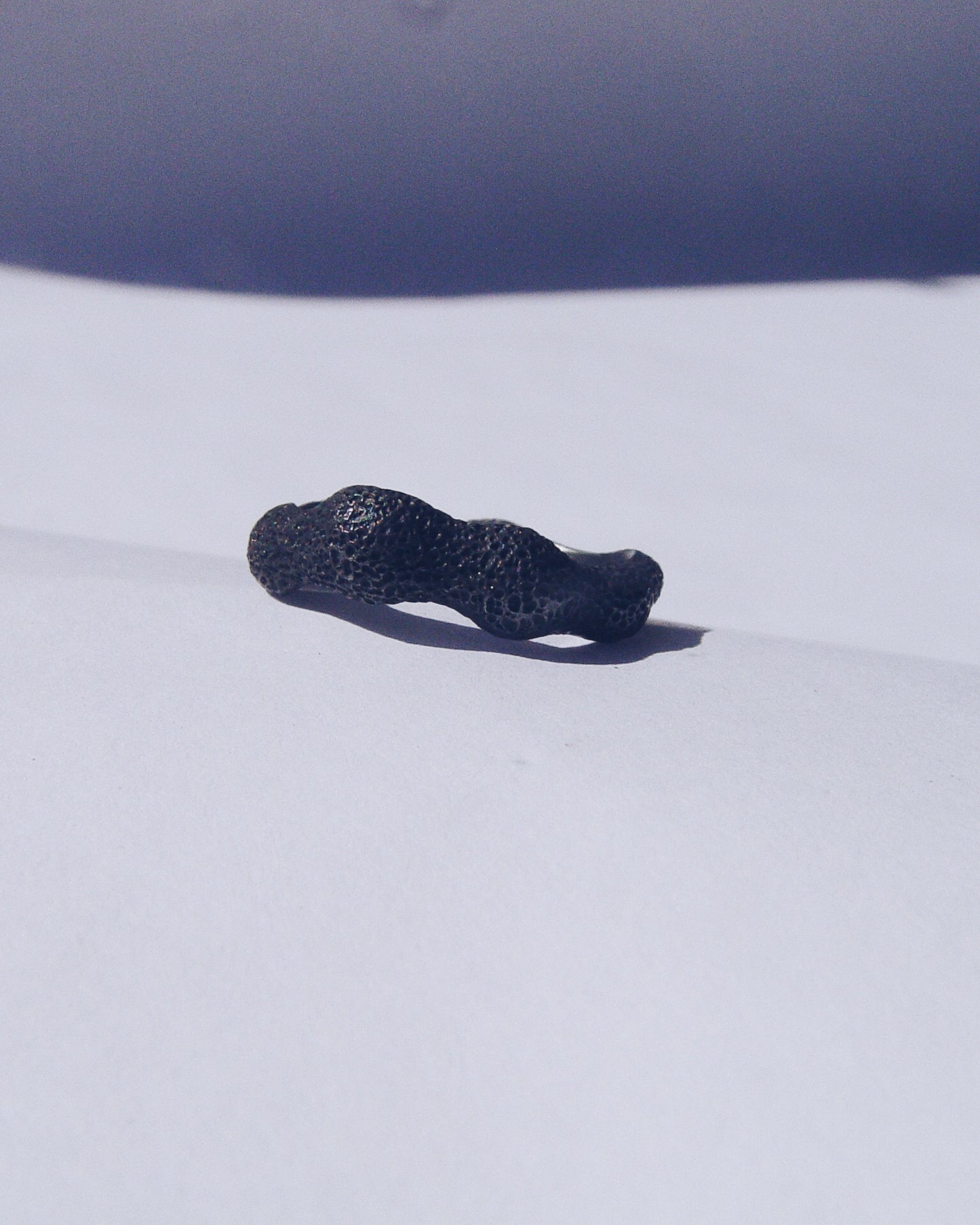 silver ring / SILENT WAVE