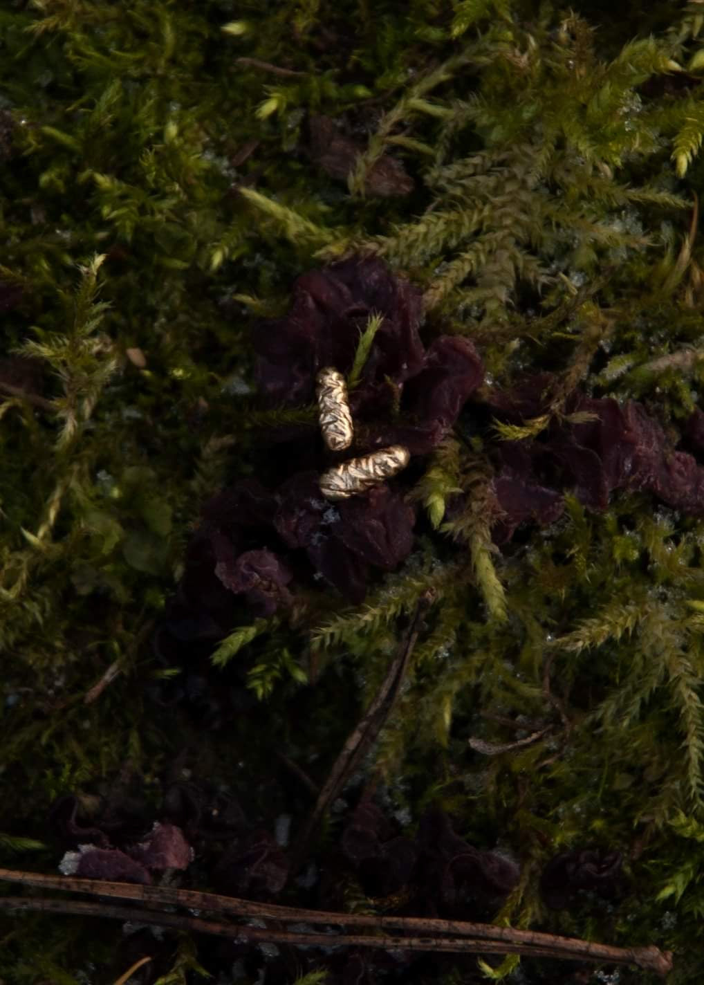 gold plated silver studs / FOREST Seeds