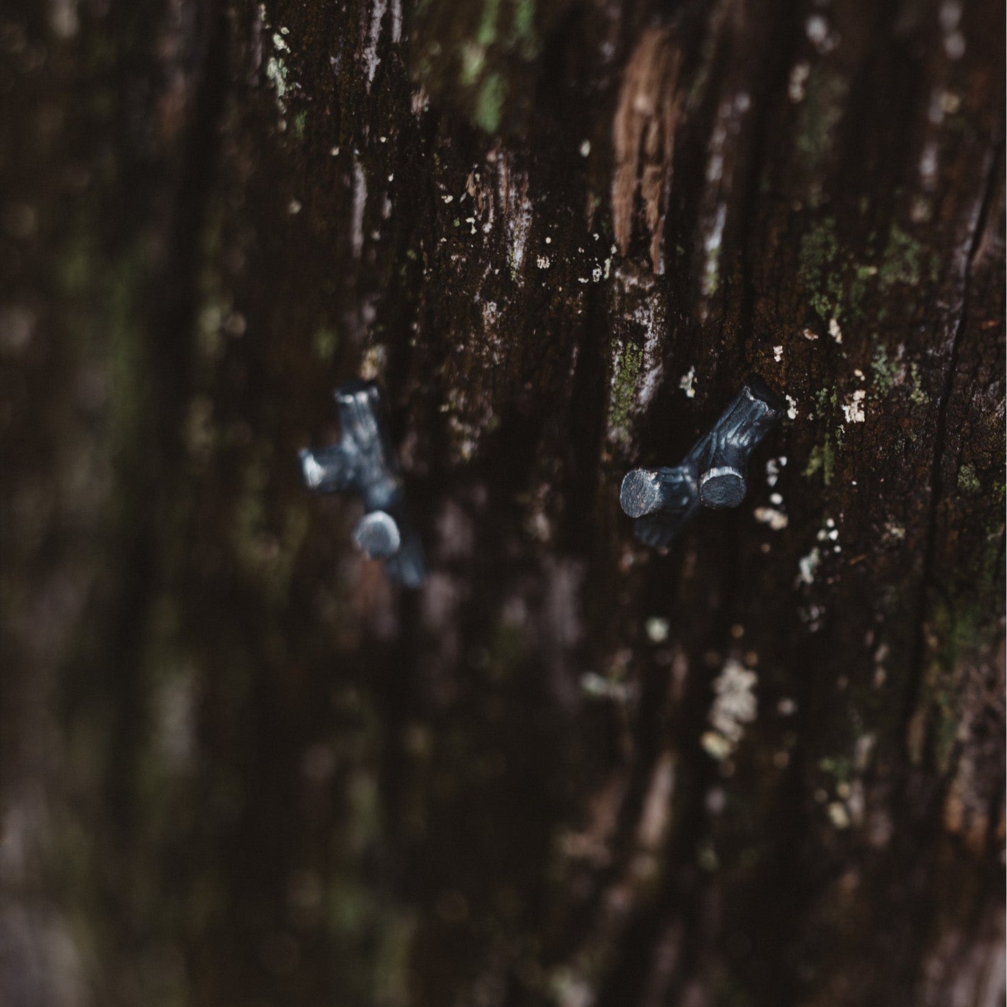 silver stud earrings / BRANCHES