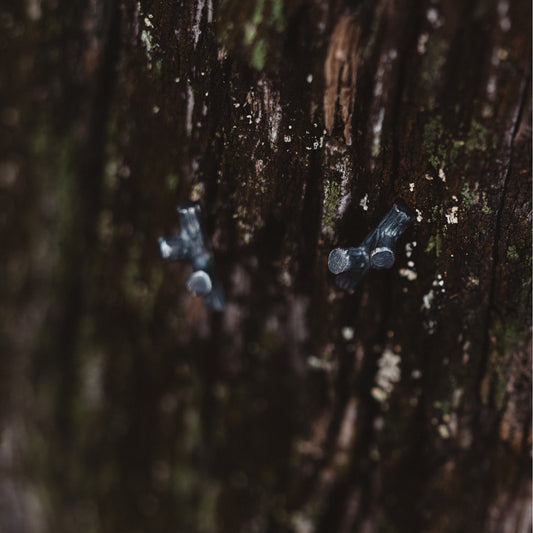 silver stud earrings / BRANCHES