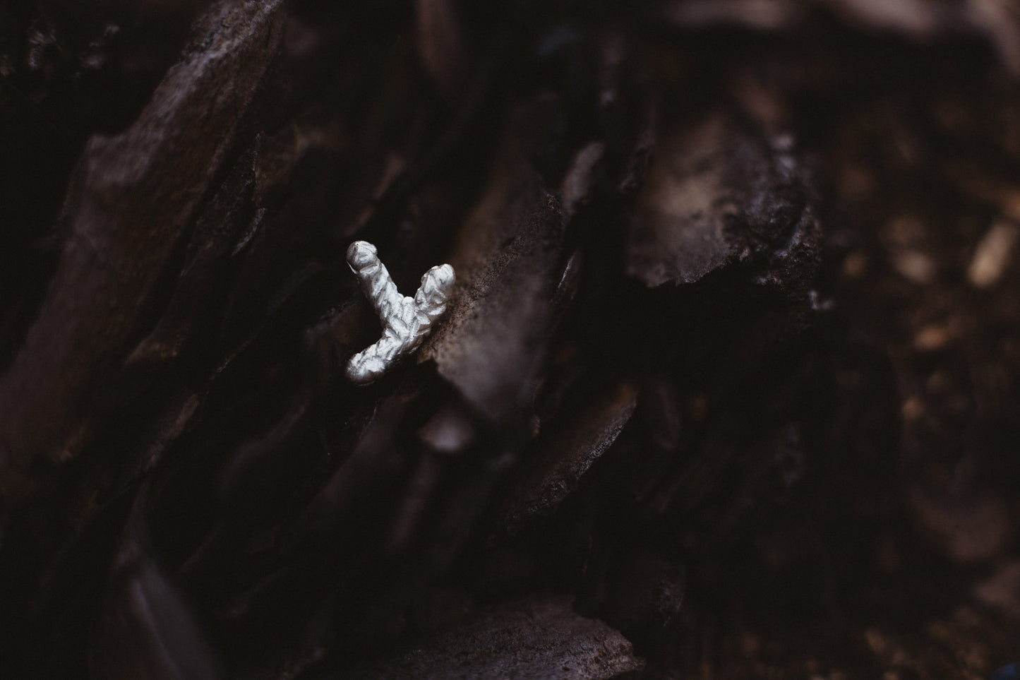 Silver stud / FOREST LIGHT