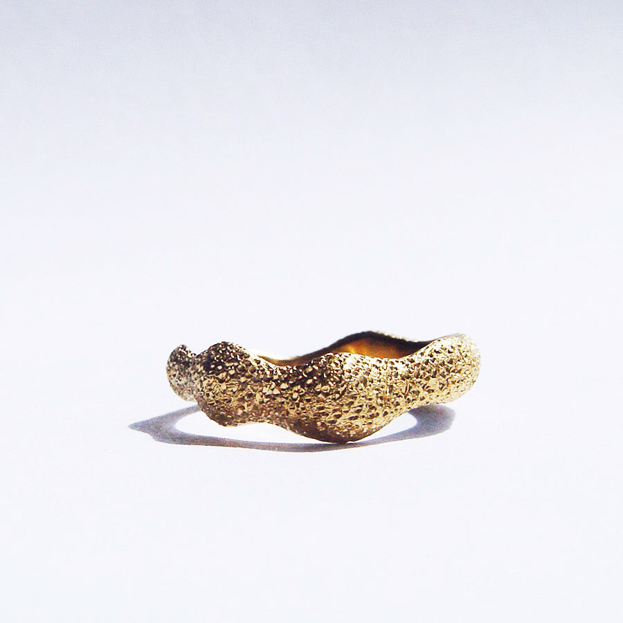 silver ring / SILENT WAVE